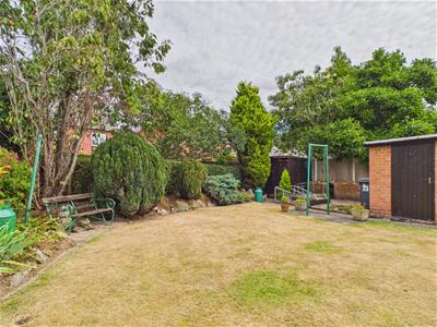 Picture 21